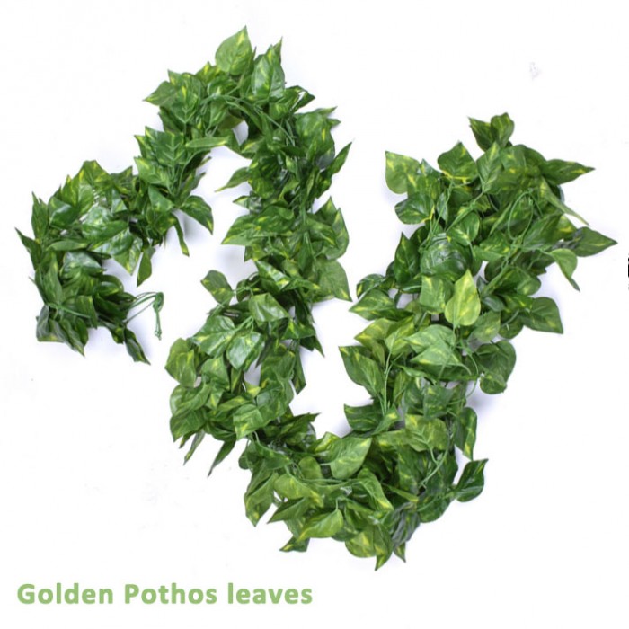 Artificial_Trailing_Ivy_Vine_5M_Golden_Pothos_leaves